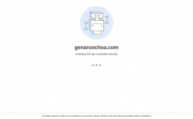 genaroochoa.com screenshot