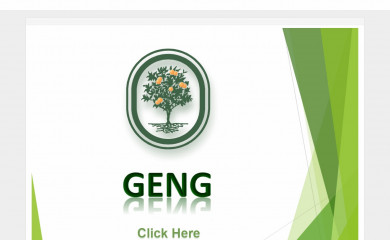 geng.com screenshot