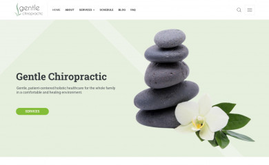 gentlechiropracticstl.com screenshot