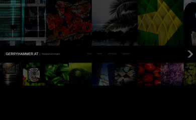 gerryhammer.at screenshot