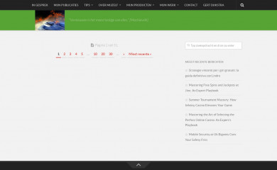 gertdijkstra-akina.nl screenshot