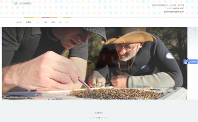 gia-jtu.cn screenshot