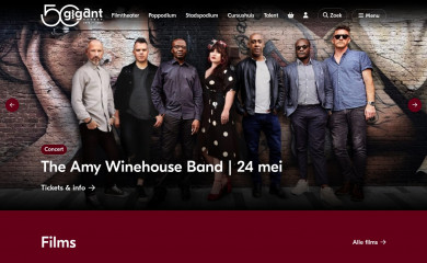 gigant.nl screenshot