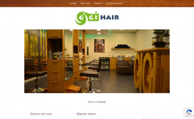 gigihair.nl screenshot