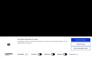 gijswillems.nl screenshot