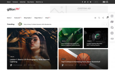 https://gillion.shufflehound.com/ screenshot
