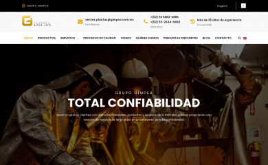 gimpsa.com.mx screenshot