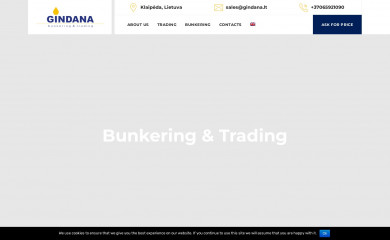 gindana.lt screenshot