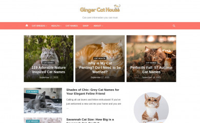 gingercathouse.co.uk screenshot