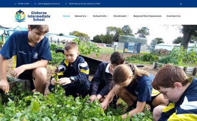 gisint.school.nz screenshot