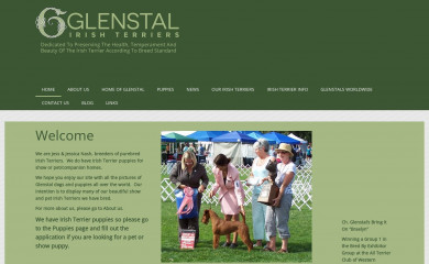 glenstalirishterriers.com screenshot