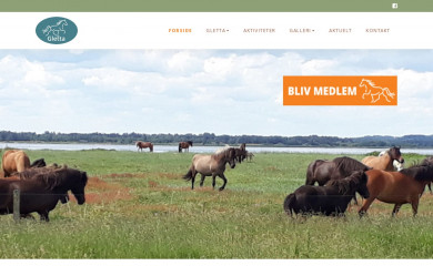 gletta.dk screenshot
