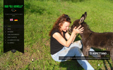 gliasinelli.com screenshot