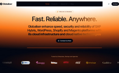 globaliser.com screenshot