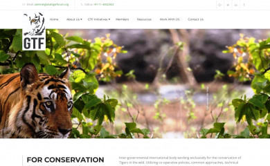 globaltigerforum.org screenshot