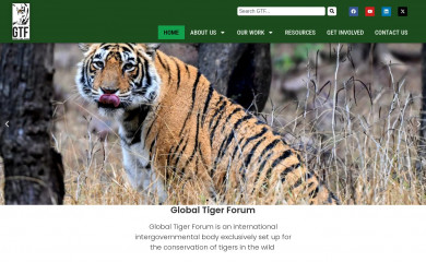 globaltigerforum.org screenshot
