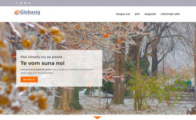 globasig.ro screenshot