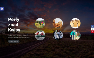 gminalesna.pl screenshot