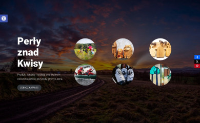 gminalesna.pl screenshot