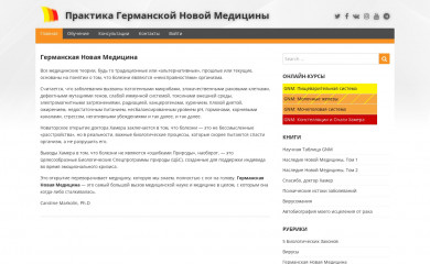 gnm-practice.ru screenshot