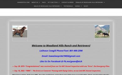 goandfetch.com screenshot