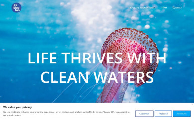 gobluetoo.com screenshot