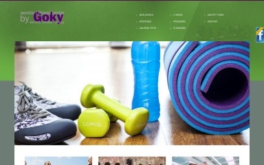 gokyfit.hr screenshot