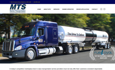 gomts.com screenshot