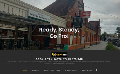 goprotaxi.com screenshot
