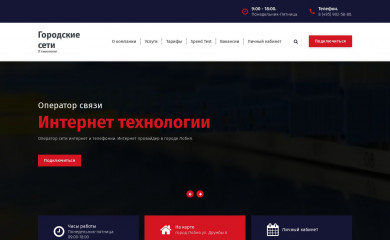 gorodskie-seti.ru screenshot