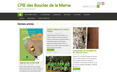 grandvoyeux.fr screenshot