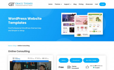 Online Consulting screenshot