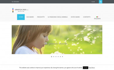grafica2020.com screenshot