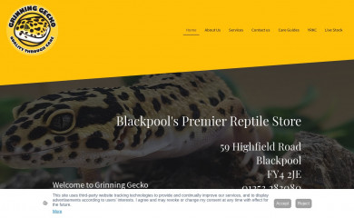 grinninggeckouk.com screenshot