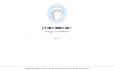 groenesterhandbal.nl screenshot