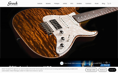 groshguitars.com screenshot