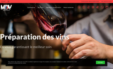 groupe-mdv.fr screenshot