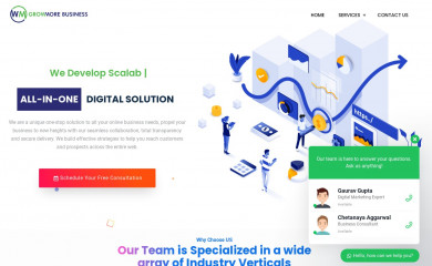 growmore.business screenshot