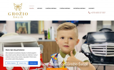groziosalis.lt screenshot