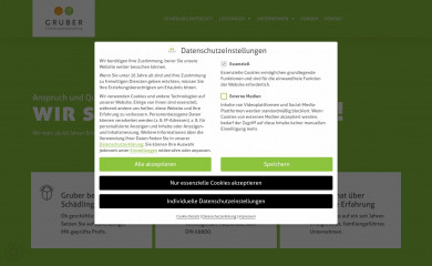 gruber-profis.de screenshot