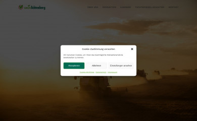 gruenlichtenberg.com screenshot