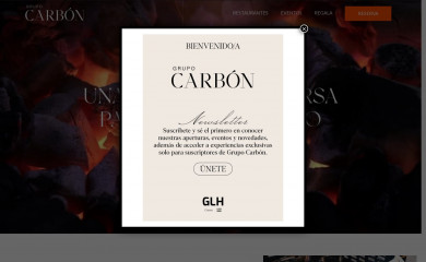 grupocarbon.es screenshot
