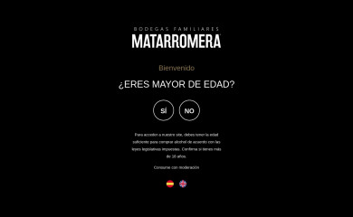 grupomatarromera.es screenshot