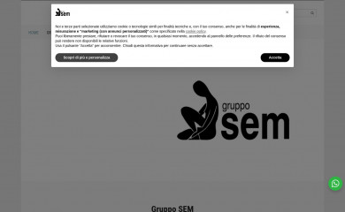 grupposemm.it screenshot