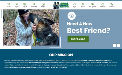 gsdrescue.org screenshot