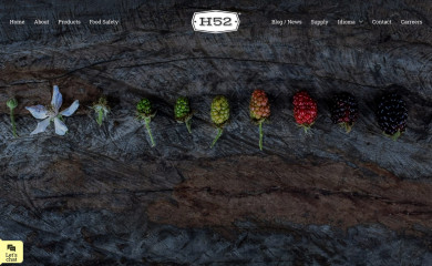h52.mx screenshot