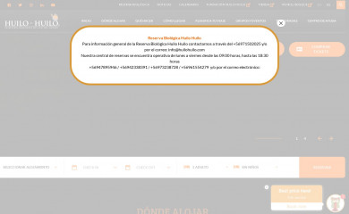 huilohuilo.com screenshot