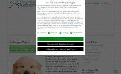 hunde-welpen.de screenshot