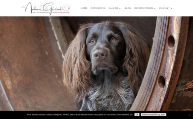 hundefotografie.de screenshot