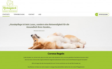 hundesalon-pfotenglueck.de screenshot